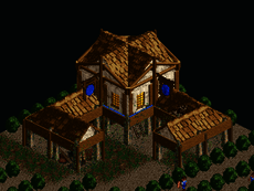 Age of Empires building
